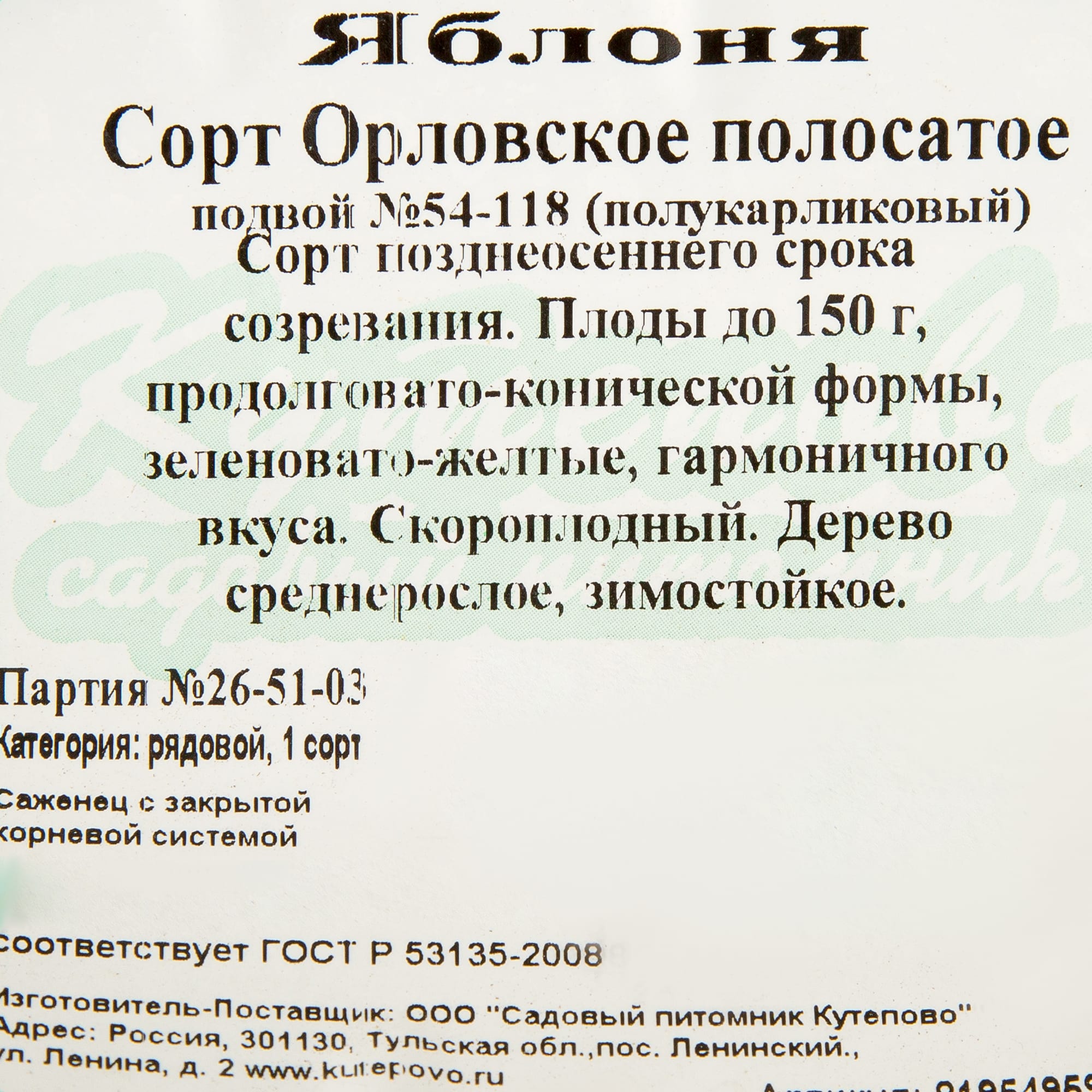 81954959 Яблоня С7 «Орловское полосатое» h120-180 Santreyd  - Вид №1