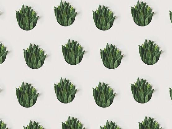 Architects Paper Обои с цифровой печатью Ap digital iv 109005 - Вид №1