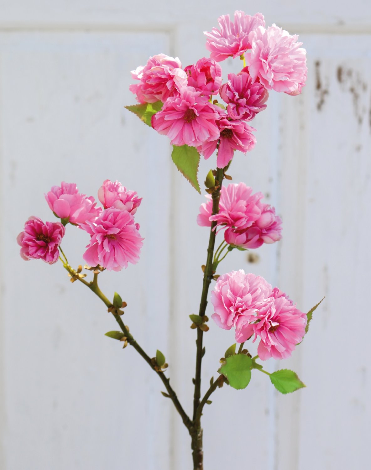 3087 515 a3 Ветка сакуры, 76 см, розовая H-andreas  - Вид №3