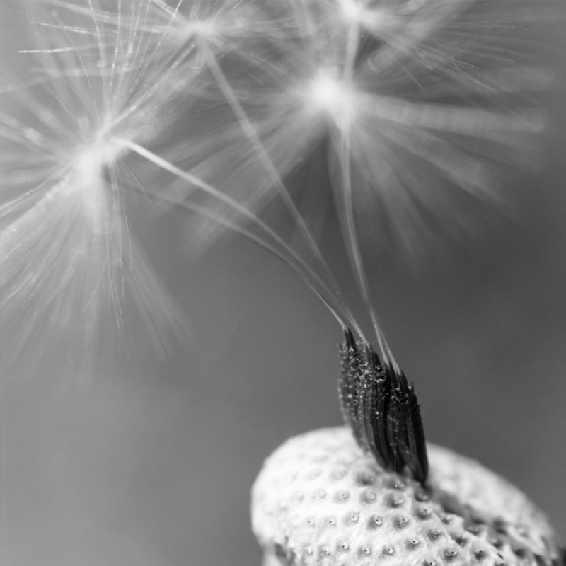 F132A/0431X120 Картина Мома Рамка 0431 Adriani e Rossi 