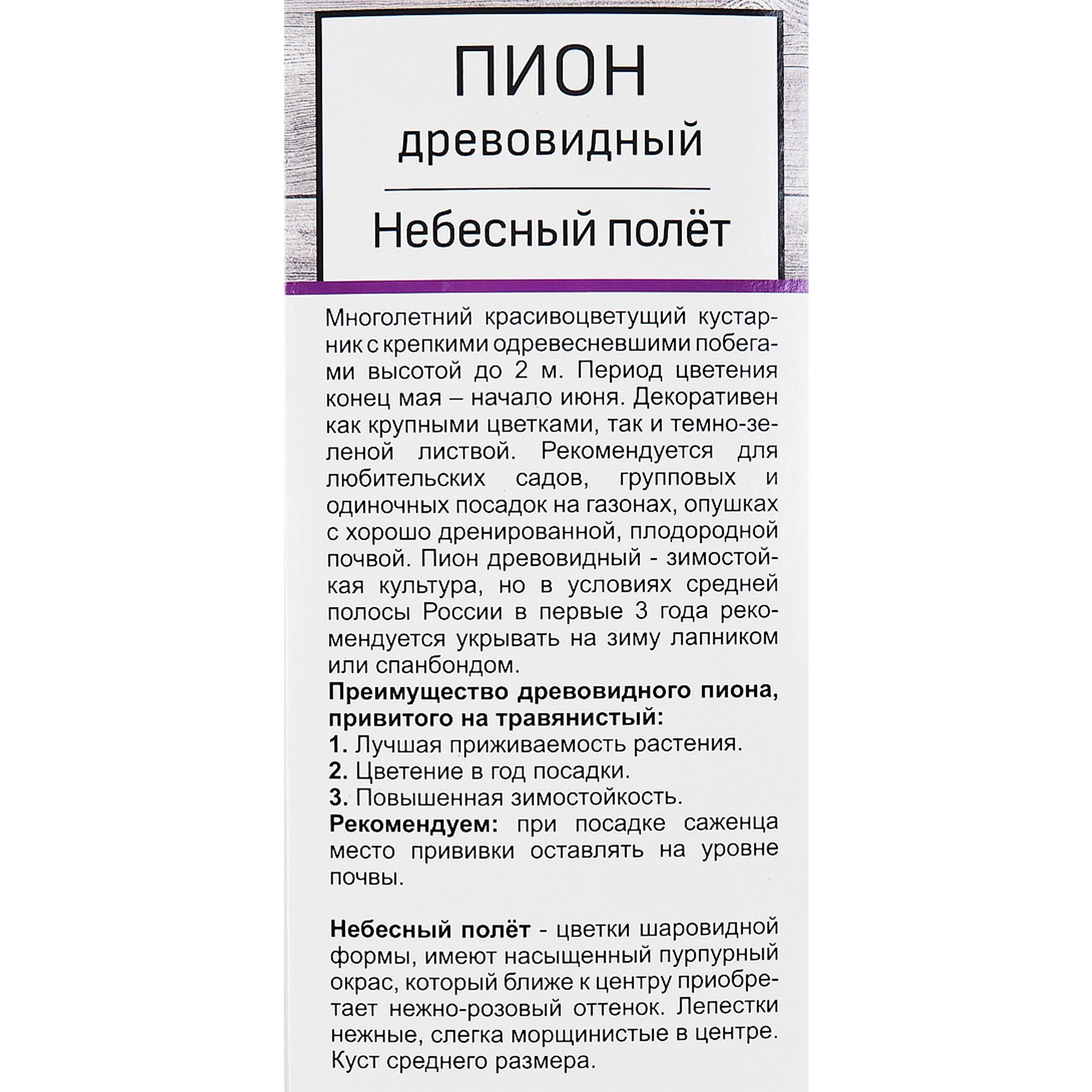 83431655 Пион древовидный Небесный полёт h30 см Santreyd  - Вид №2