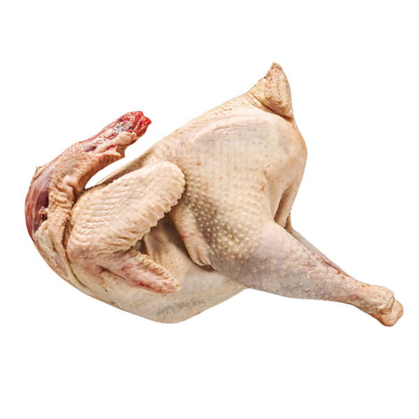 Петух Ломан браун ~2,4 кг Santreyd 18918 - Вид №1