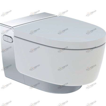 146.204.21.1 Подвесной унитаз настенный Белый Geberit  Германия 