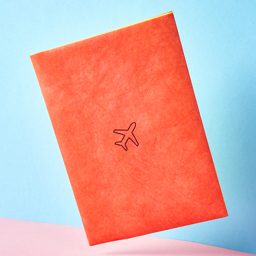 NC-001 Обложка на паспорт - new a New wallet 