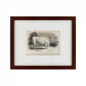 Литография на тонированной бумаге 42х52 см A short horned bull, 1849 КАРТИНЫ В КВАРТИРУ  135686 Бежевый;белый;серый;разноцветный