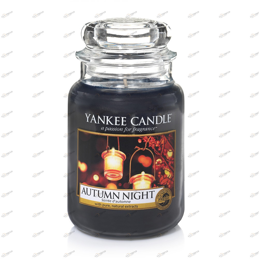 Свеча большая в стеклянной банке "Осенняя Ночь" Autumn Night 623 гр 110-150 часов YANKEE CANDLE  267848 Синий 