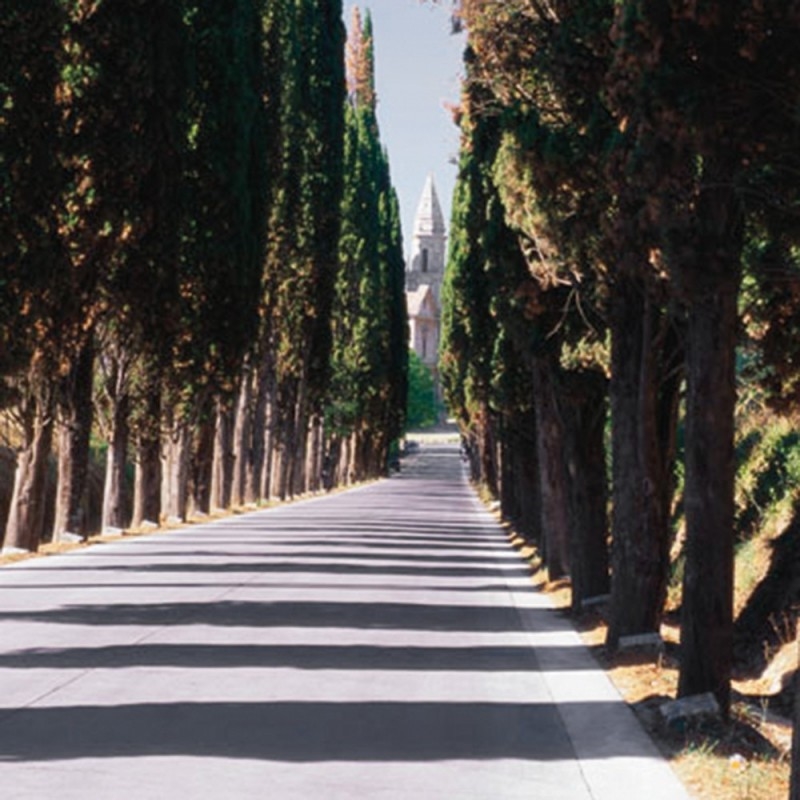 1100/CX38 Картина 1100 Adriani e Rossi  - Вид №3