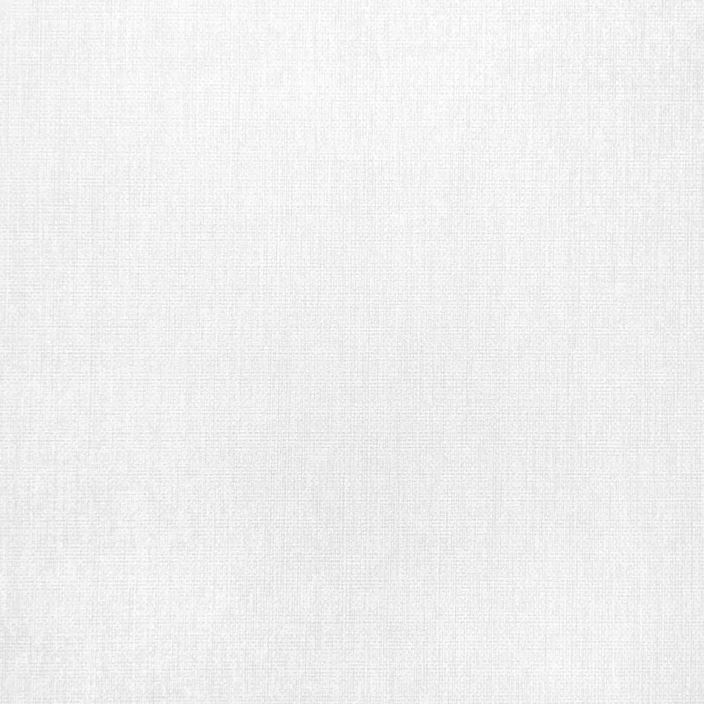 Обои флизелиновые Erismann Anika белые 1.06 м 60290-02 STLM-2123763 - Вид №1
