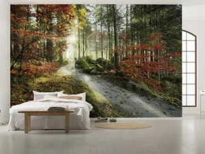 Komar Флизелиновые обои с пейзажами Wanderlust Shx9-031