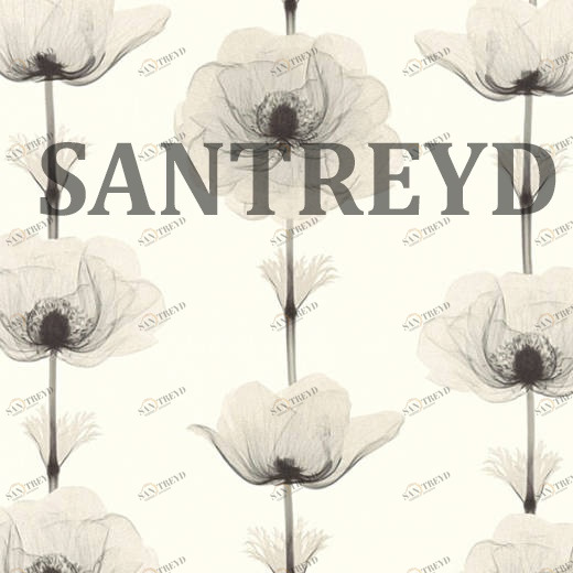 34273-4 Обои A.S. Creation X-Ray 342734