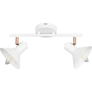 Спот поворотный Crater L1166-2, 2 лампы, 6 м², цвет белый