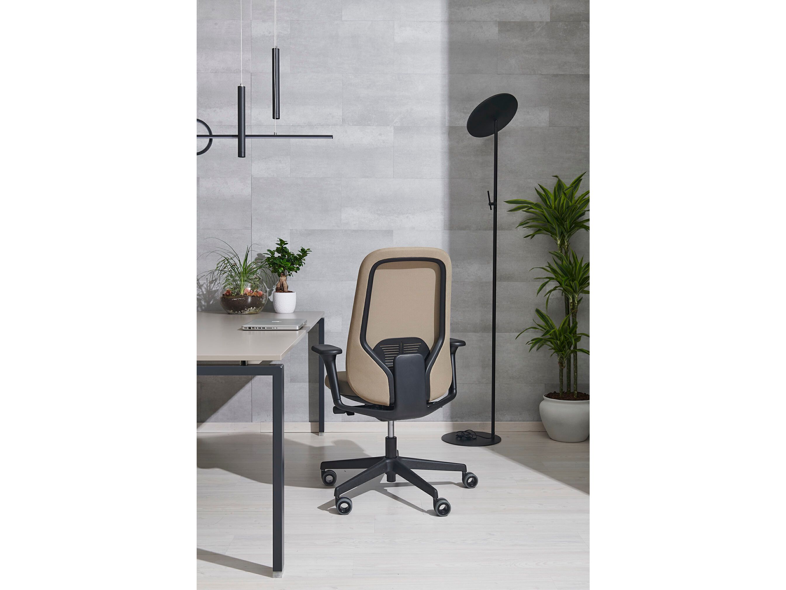 5 спиц подлокотник поворотный операционный офисный стул AP Factor Cayman ARCH-00143506 - Вид №6