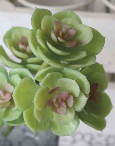 6825 805 a3 Эониум искусственный на палочке, 18 см, зелено-розовый H-andreas