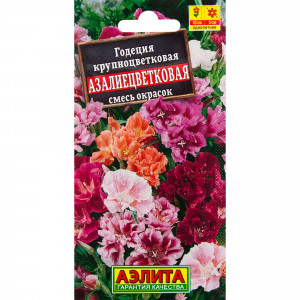 12158278 Семена цветов Годеция азалиецветковая микс