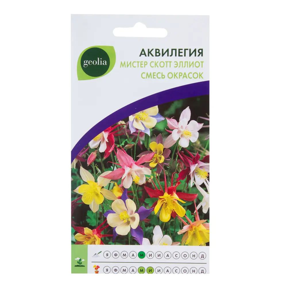 GEOLIA Аквилегия Мистер Скотт Эллиот - изящный многолетник для тенистого сада 17585711 STLM-0008401