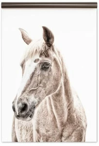 Groovy Magnets Обои с магнитным рисунком Animal