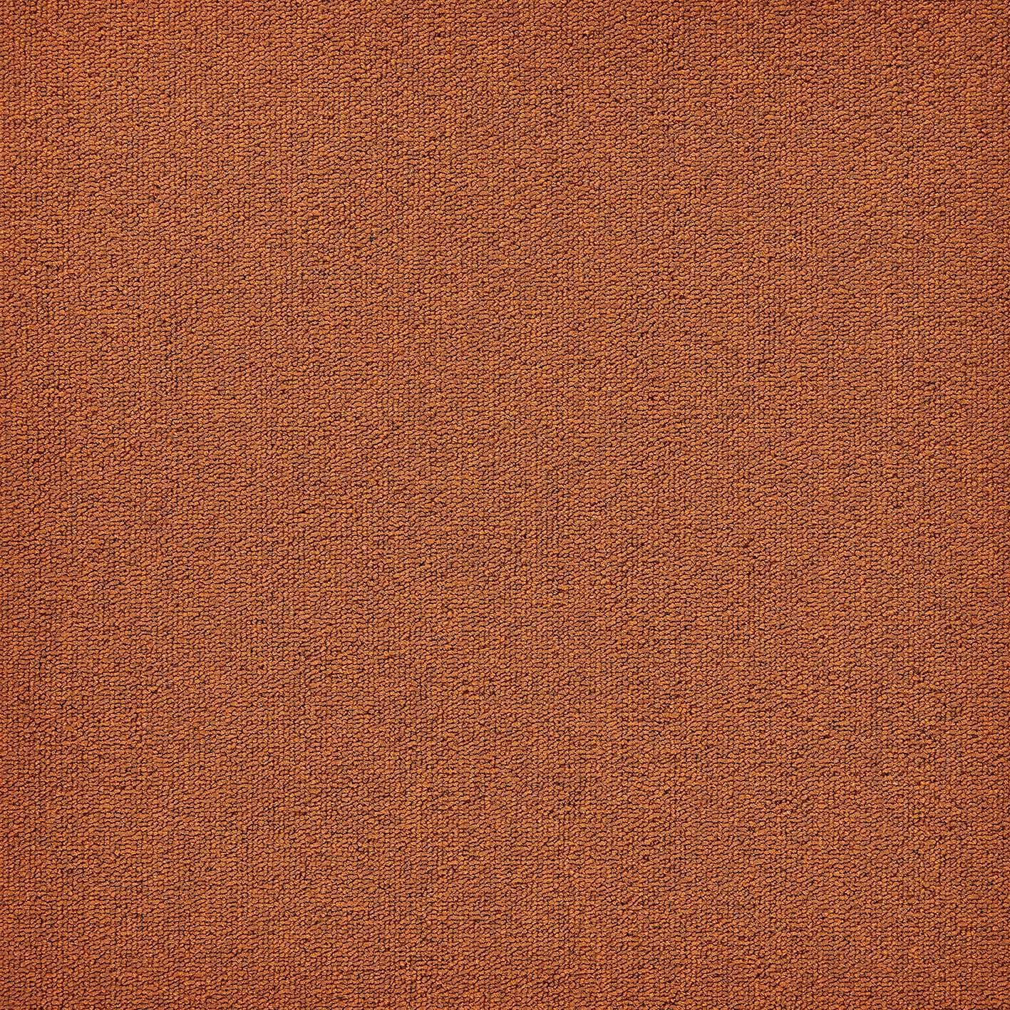 Нейлон®сплошной цвет ковер MODULYSS First ARCH-00055876 - Вид №7