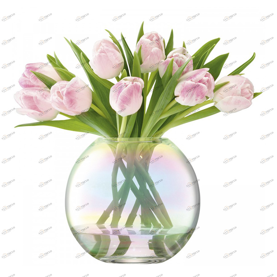 Ваза стеклянная круглая 16 см Pearl LSA INTERNATIONAL - 253350 Прозрачный 