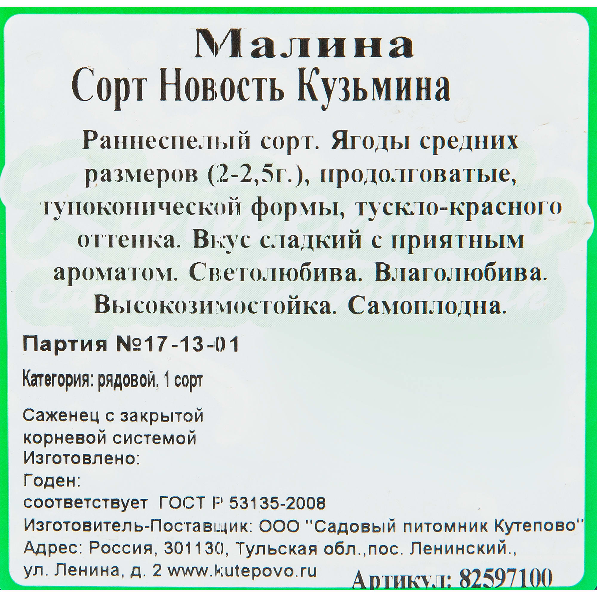 82597100 Малина «Новость Кузьмина» C2 высота 40 см Santreyd  - Вид №1