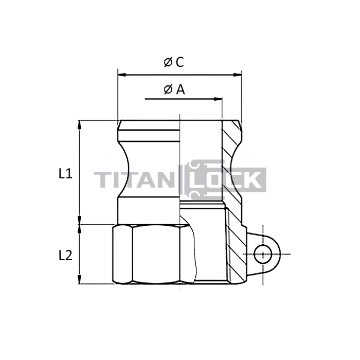 Камлок полипропиленовый тип А ниппель, внутр. резьба BSP 3/4", TL75APP TITAN LOCK  - Вид №1