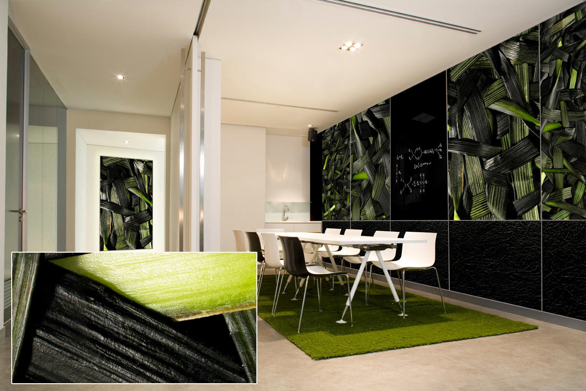 FSRT382 Зум-стекло Vivispectra с прослойкой dracanea fragans Forms-surfaces  - Вид №21