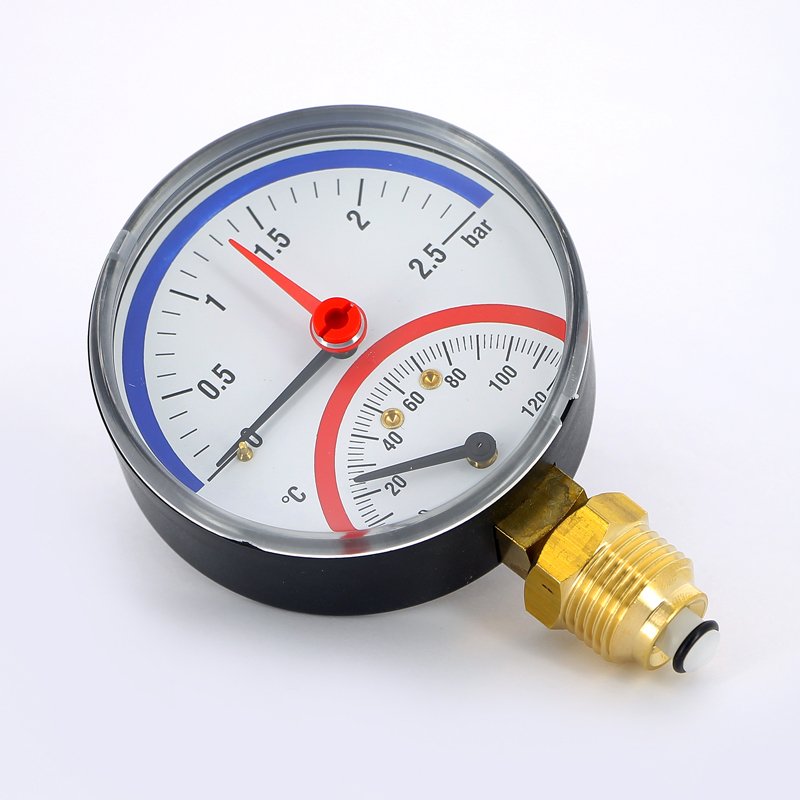 Термоманометр радиальный F+R828 1/2" 10 бар 120° WATTS 10025525 - Вид №1