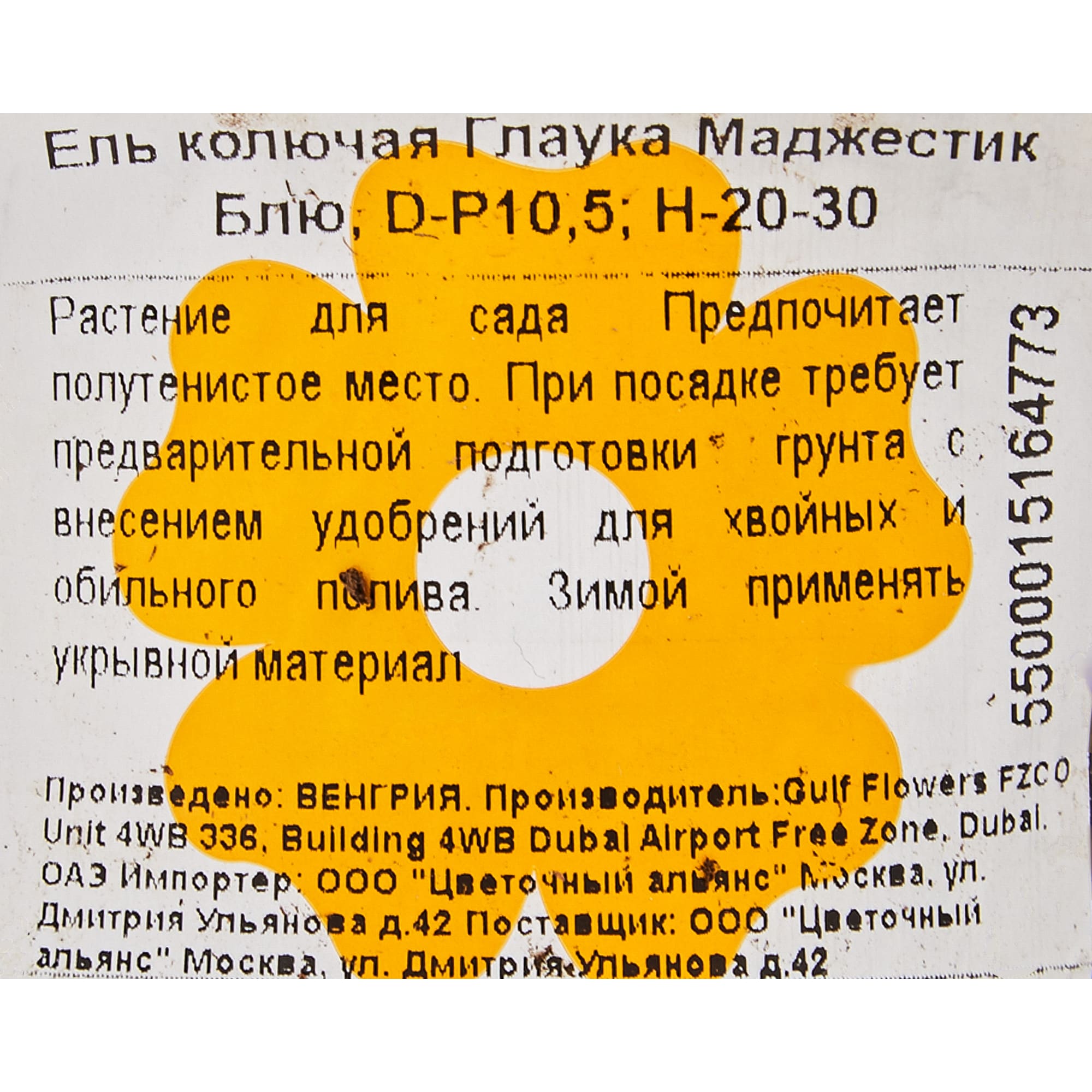 82601660 Ель Глаука «Маджестик Блю» 9x25 см Santreyd  - Вид №2