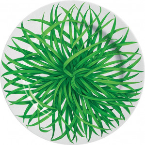 10640786 Taitu Тарелка акцентная Taitu "Травы" 19см Фарфор