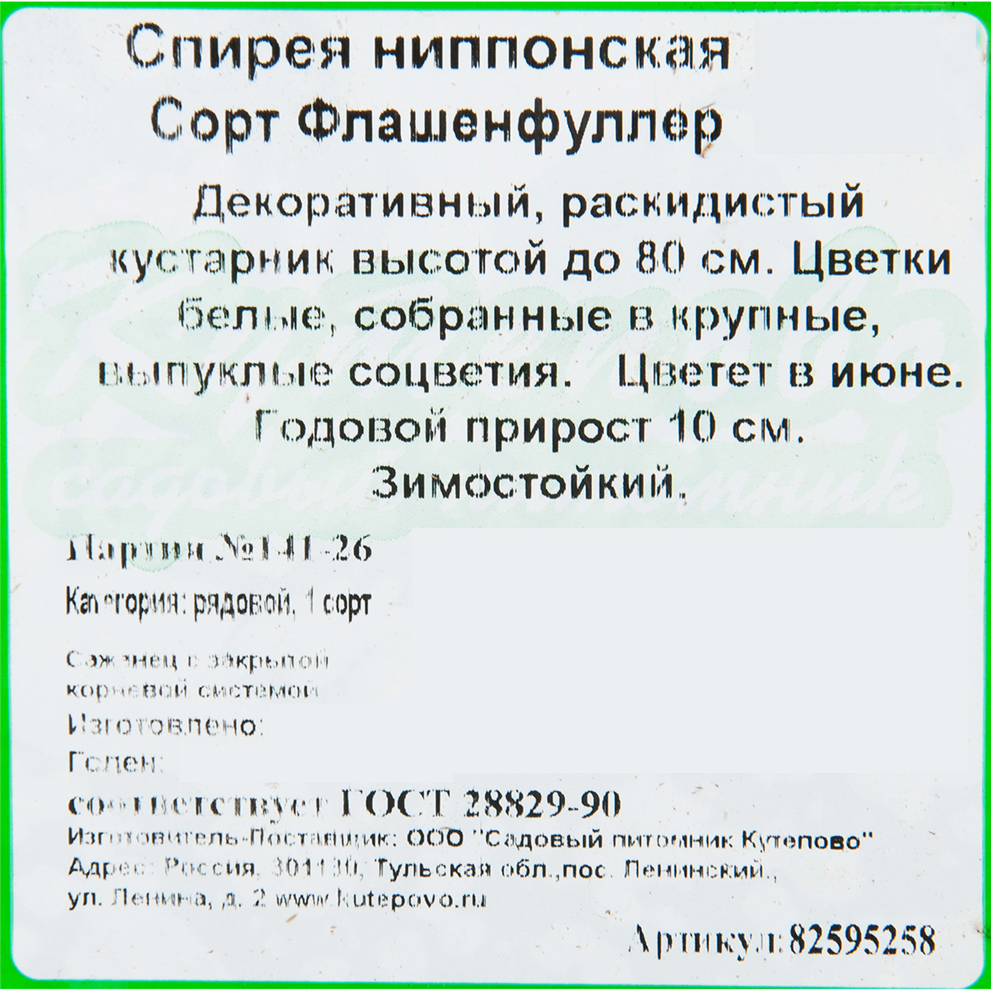 82595258 Спирея ниппонская «Флешенфуллер» 15x25 см Santreyd  - Вид №1