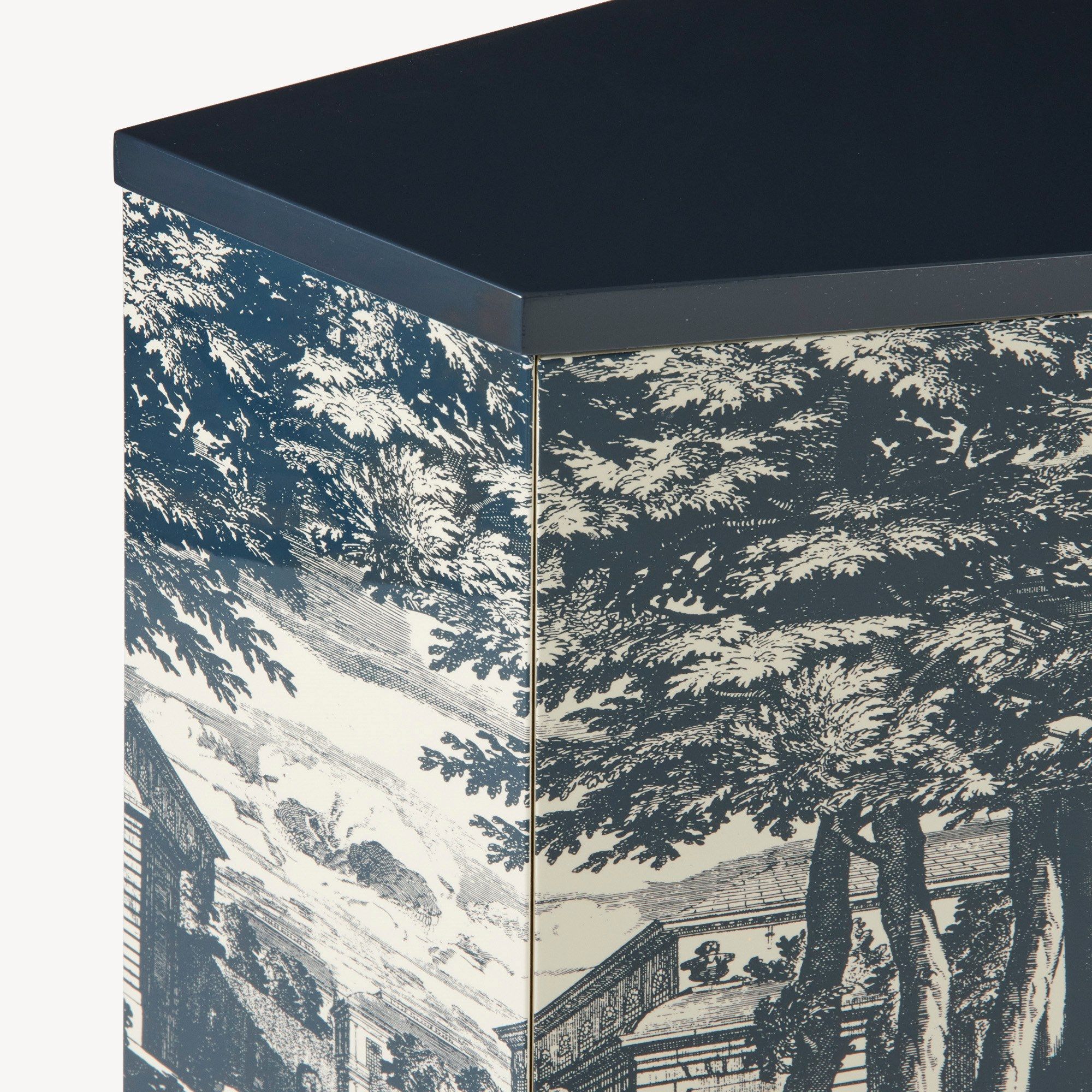 Маленький шкаф Fornasetti Giardino Settecentesco ARCH-00093642 - Вид №2