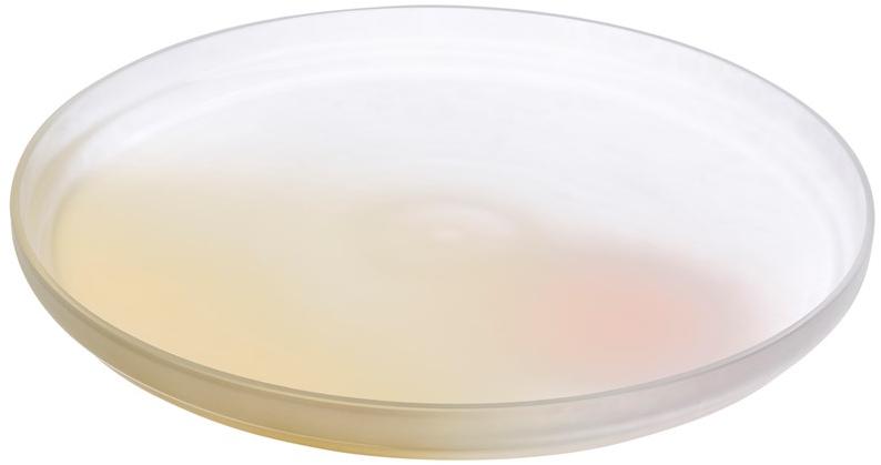 NUDE Плоская тарелка из хрусталя Pigmento sun-id-1446256 - Вид №2