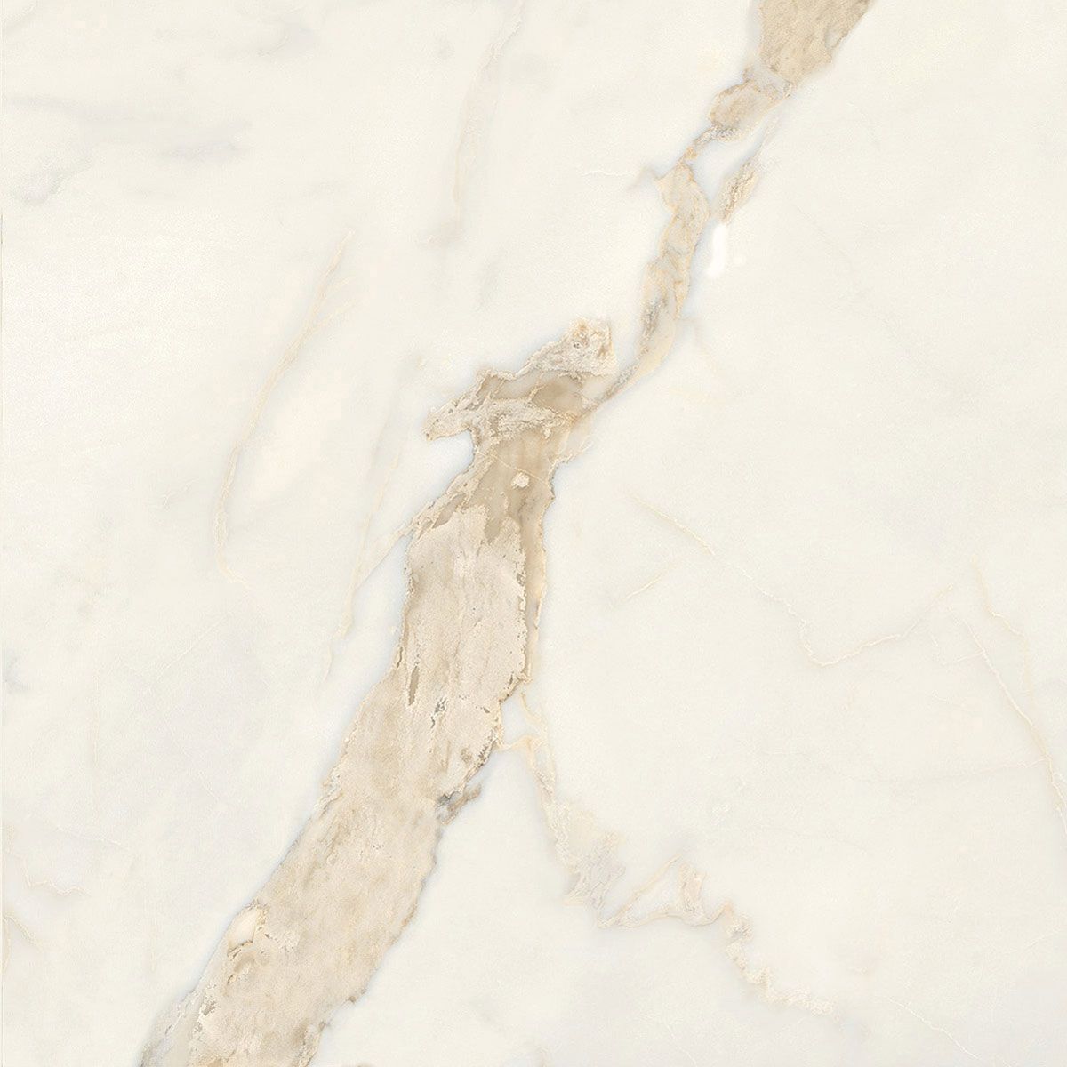 Пол / керамогранит с мраморным эффектом Italgraniti Marble Touch ARCH-00152884 - Вид №59