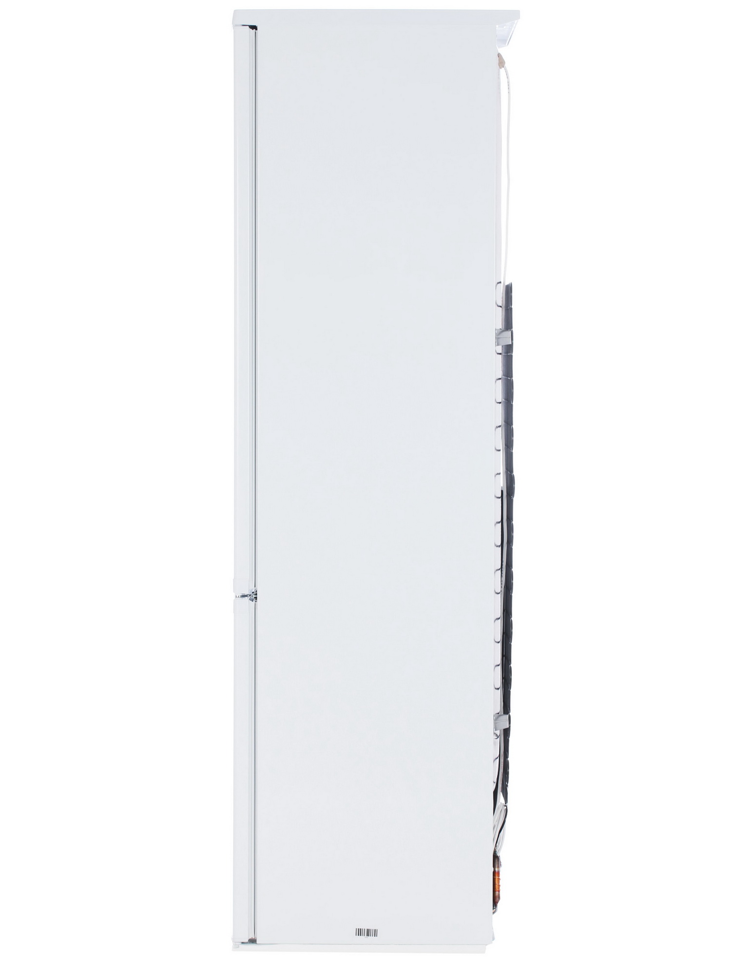 1229494 Холодильник с морозильником   DON R-295 B белый STDN-0049323 - Вид №4