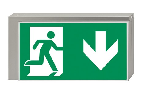 DST-2932 Lisu pennant Daisalux Светильники сигнальные Серебристо-Серый 