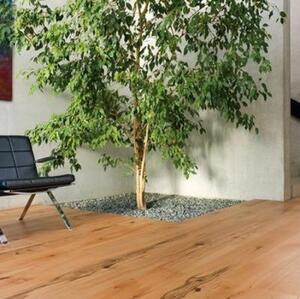 Паркетная доска Haro 4000 Series Top connect пропаренный Саваж Бук Кантри с брашью (Текстурированная) 2200х180 мм.