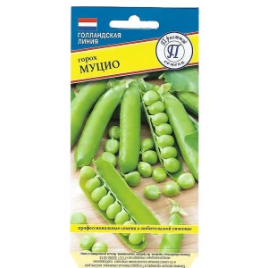 Семена Горох «Муцио»
