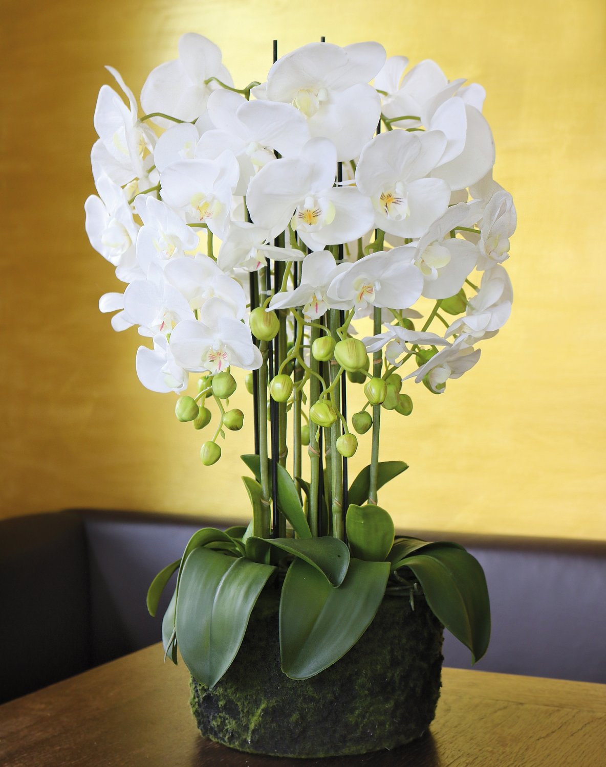 2861 777 a3 Пластиковая орхидея Phalaenopsis с 'почвой', 9-кратная, 70 см, real touch, белая H-andreas  - Вид №5