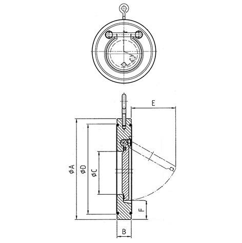 SANIT 72709116280225 Обратный клапан с пружиной изготовлены из Hastelloy 2.4610, PVC-U  - Вид №1