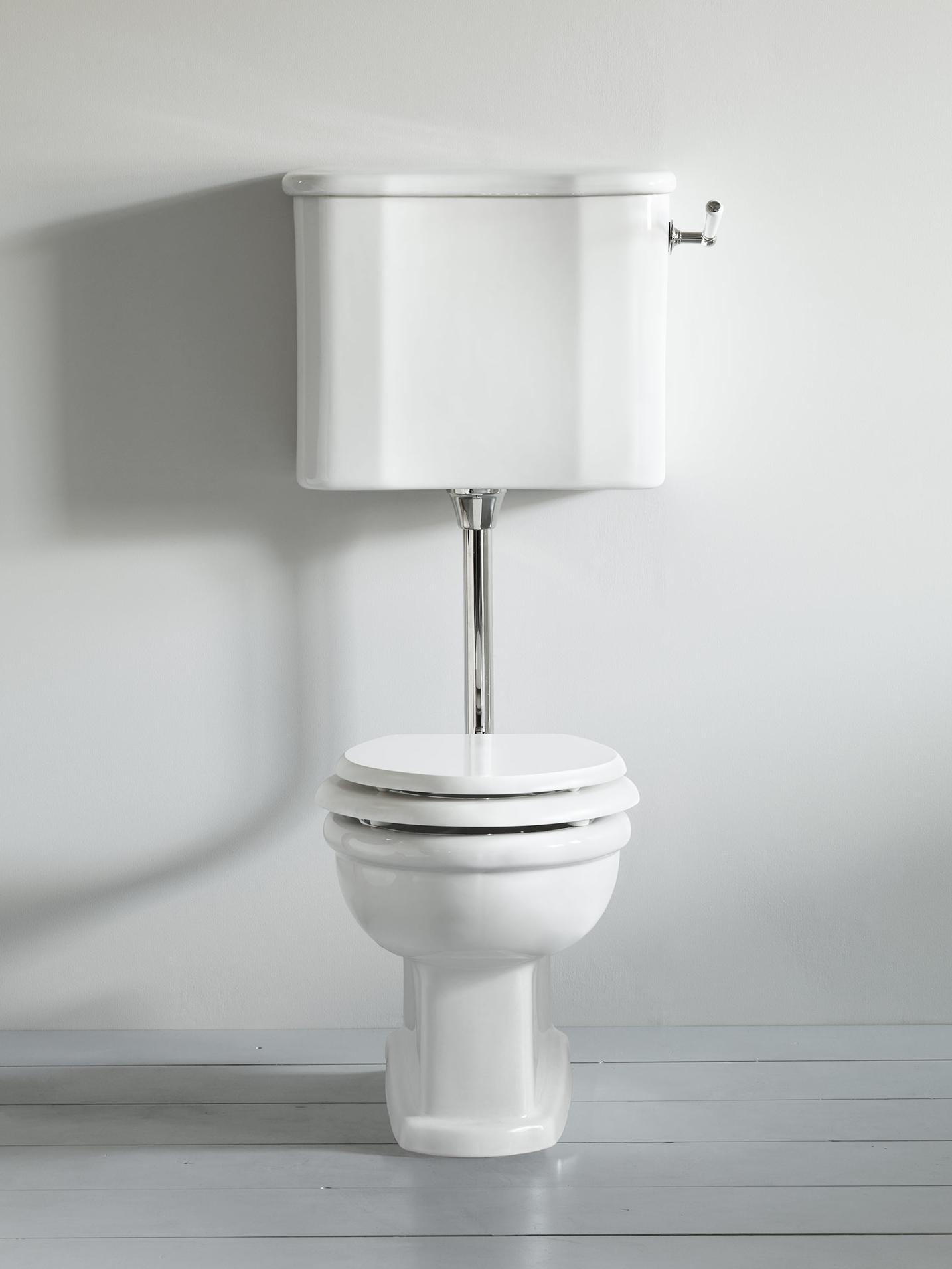 3-01-010 Туалет Париж с цистерной низкого уровня Paris The water monopoly