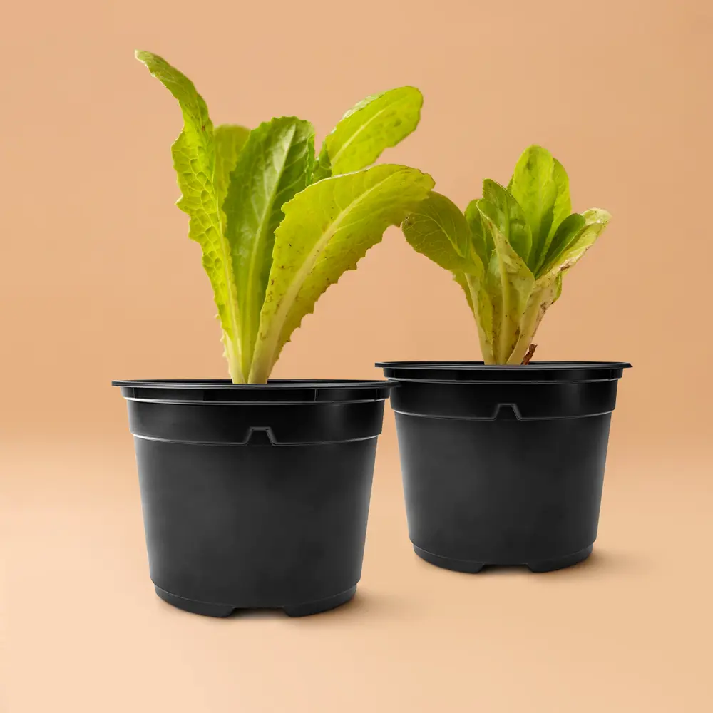 Набор для рассады ГазонCity пластик 1 ячейка STLM-2038149 - Вид №5