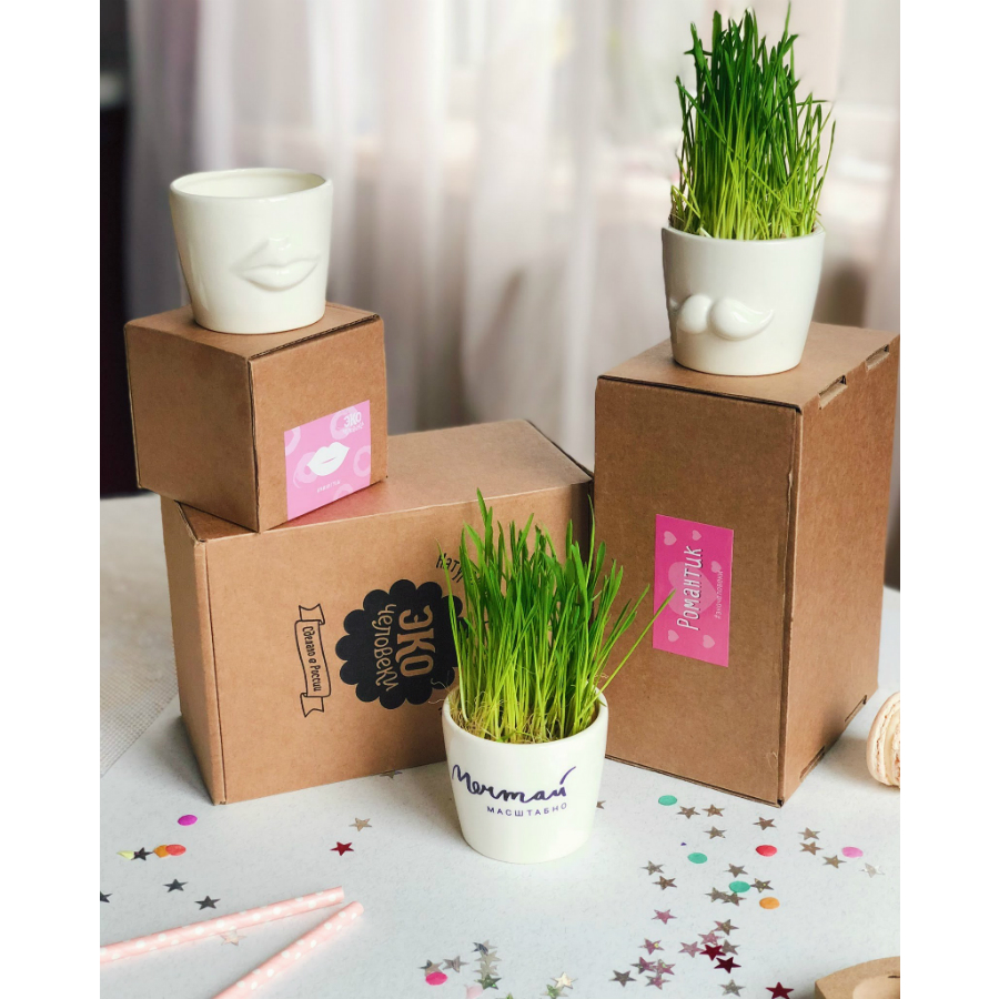 MIN-1-01 Набор для выращивания eco мини-кашпо «губы» Экочеловеки  - Вид №6