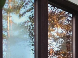 PILKINGTON ITALIA Противотуманное стекло