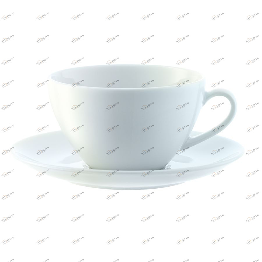 Набор из 4 округлых чашек с блюдцем Dine 220 мл LSA International P01907997