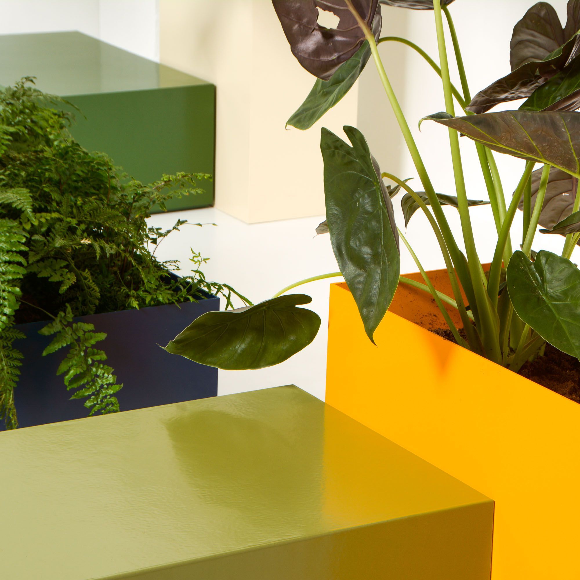 Низкая алюминиевая плантатор с порошковым покрытием SIXINCH PLANTER ARCH-00146353 - Вид №7