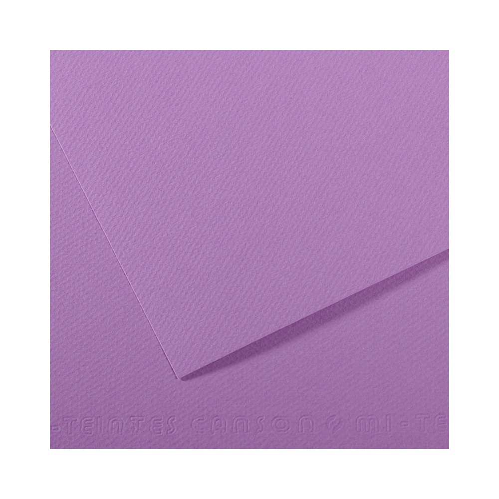 200321724 Бумага для пастели Mi-Teintes 160 г/м2 50 х 65 см лист №113 черника Canson 