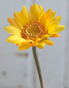 4214 330 a2 Искусственная гербера, 23 см, желтая H-andreas