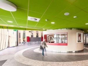 Rockfon Акустические потолочные панели из минеральной ваты Design deco