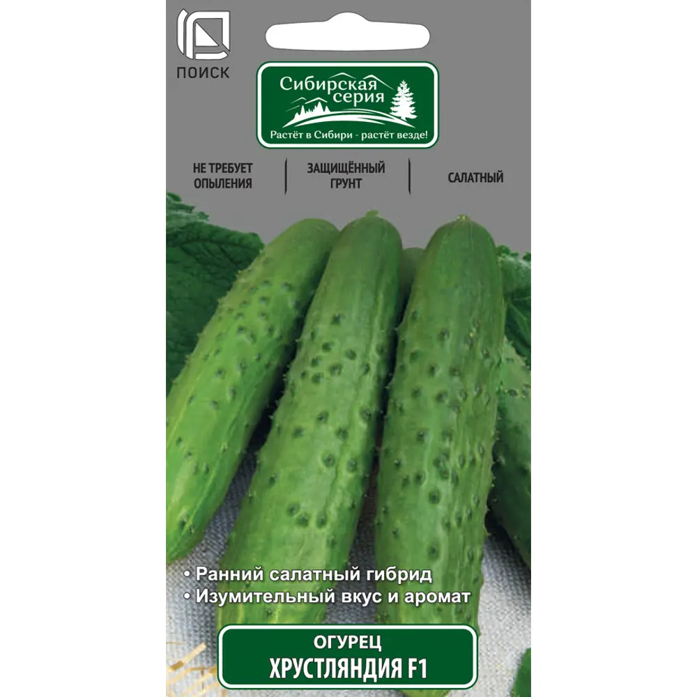 Семена огурцов ПОИСК «Хрустляндия» F1 - ранний партенокарпический гибрид 18356451 STLM-0010487 - Вид №2