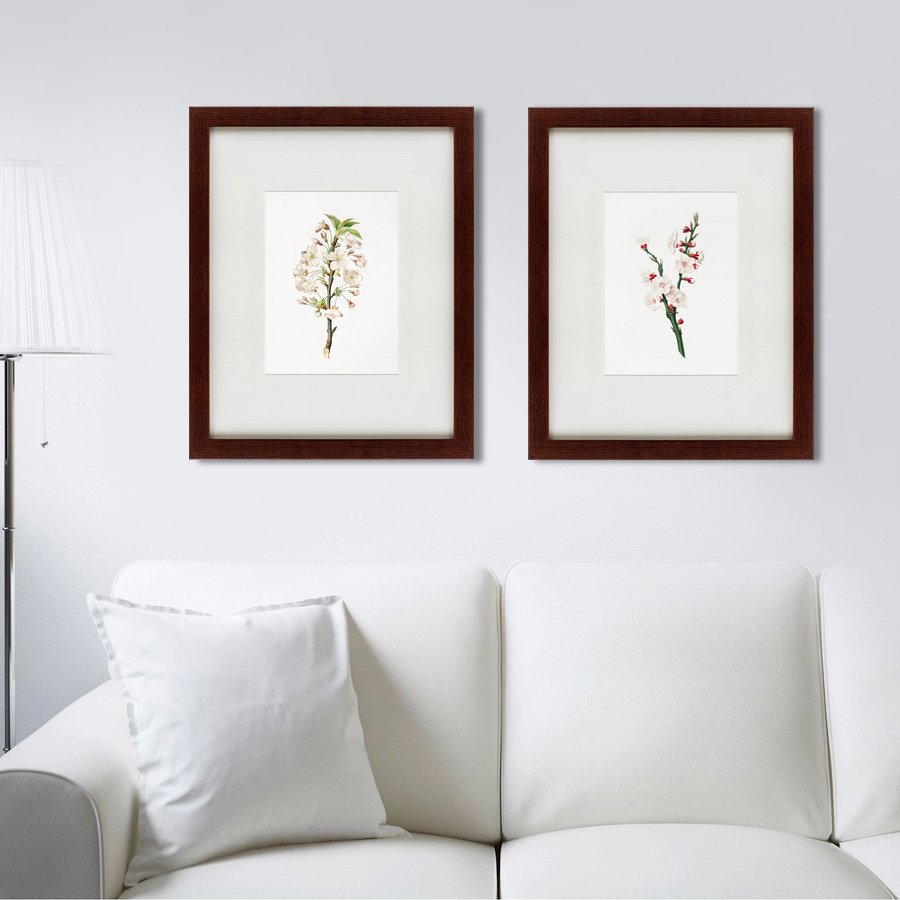 Литография на тонированной бумаге 42х52 см Apricot flower (Prunus armeniaca), 1832 КАРТИНЫ В КВАРТИРУ  191751 Бежевый;белый;разноцветный  - Вид №2
