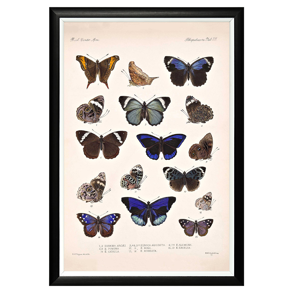 782752336_1818 Арт-постер «Тропический рай», версия 45 Object Desire 